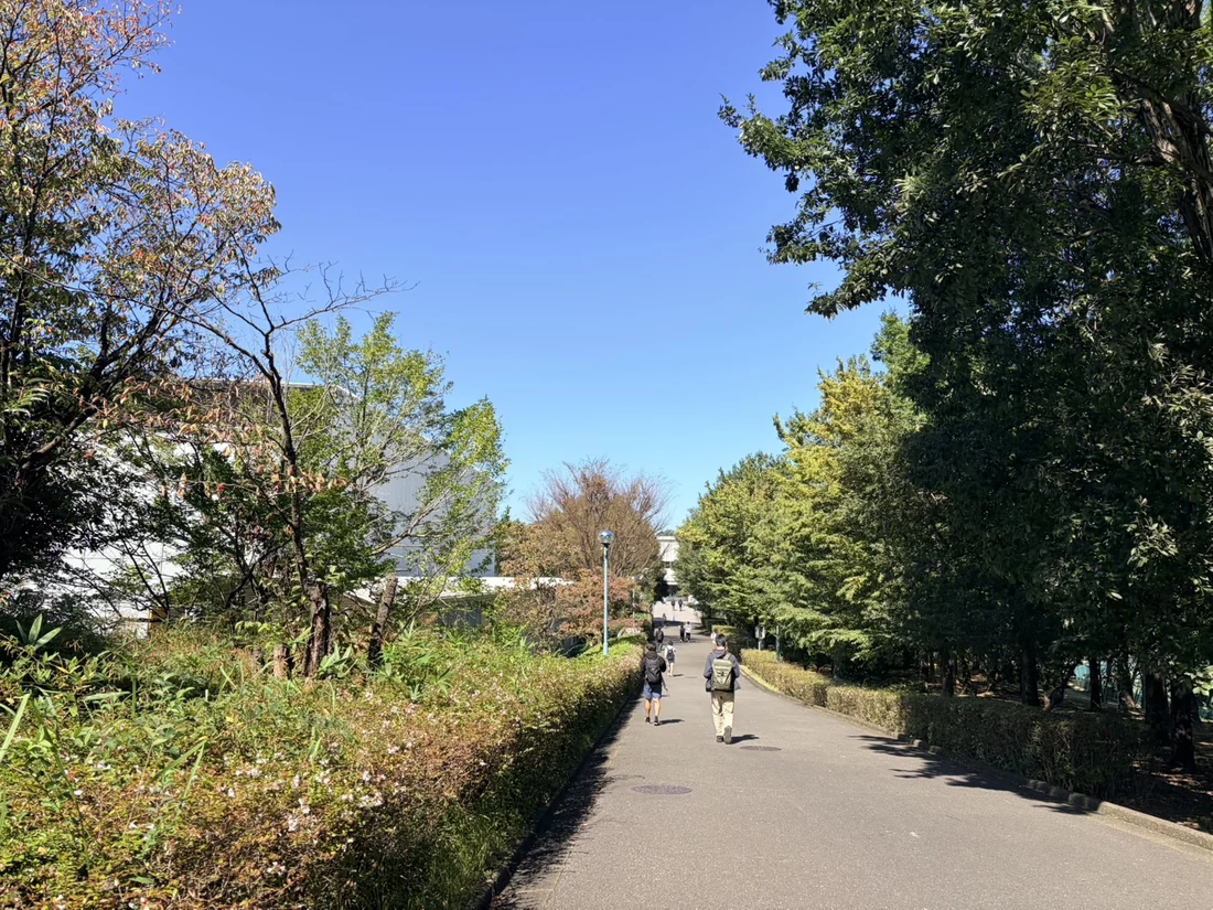木々に囲まれた所沢キャンパスの並木道
